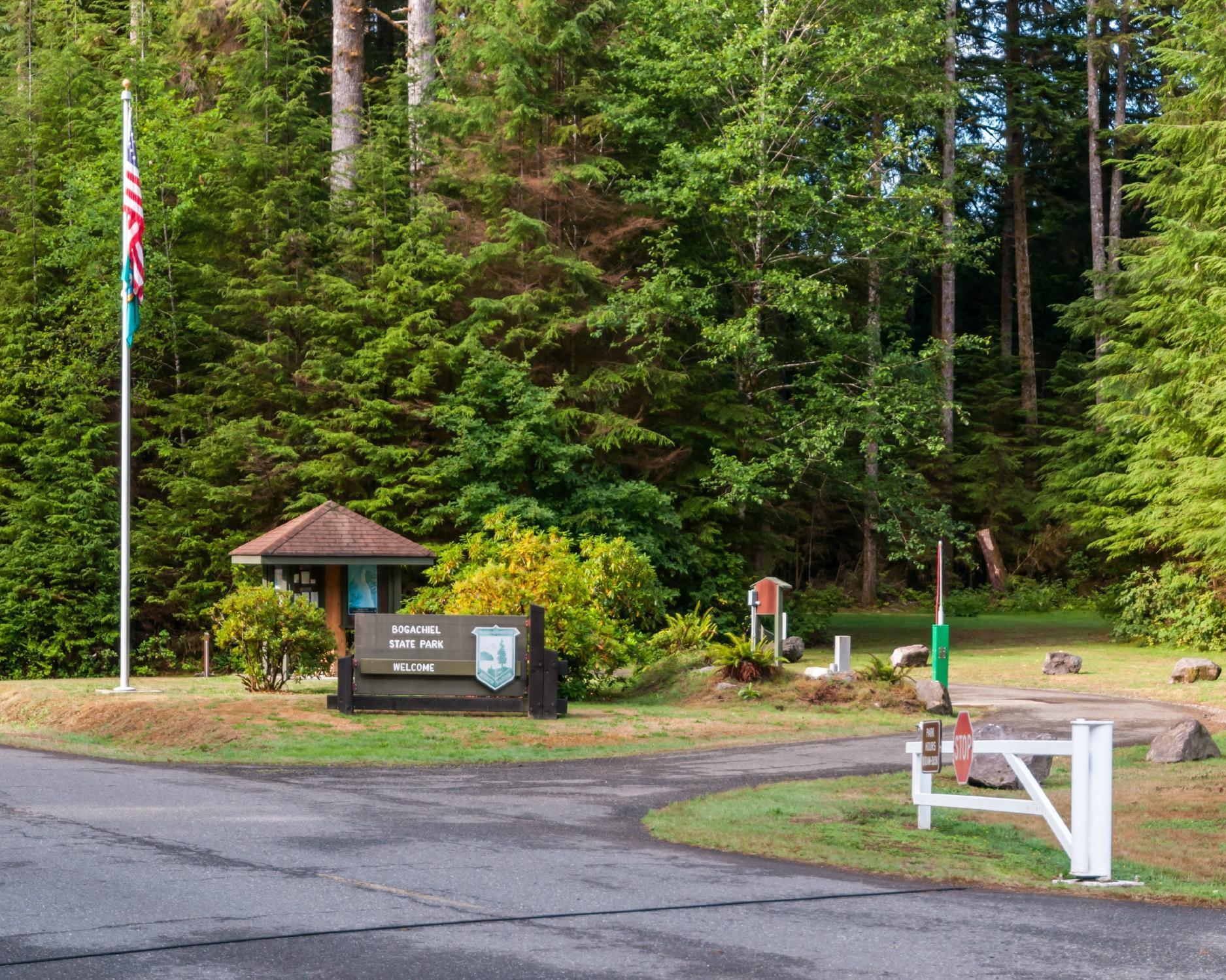 Bogachiel State Park