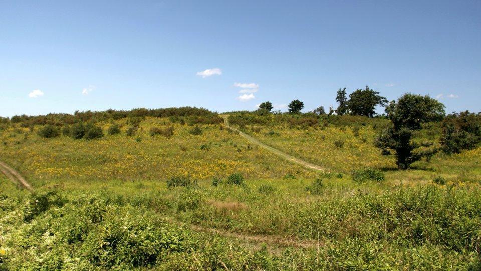 Powdermill Nature Reserve