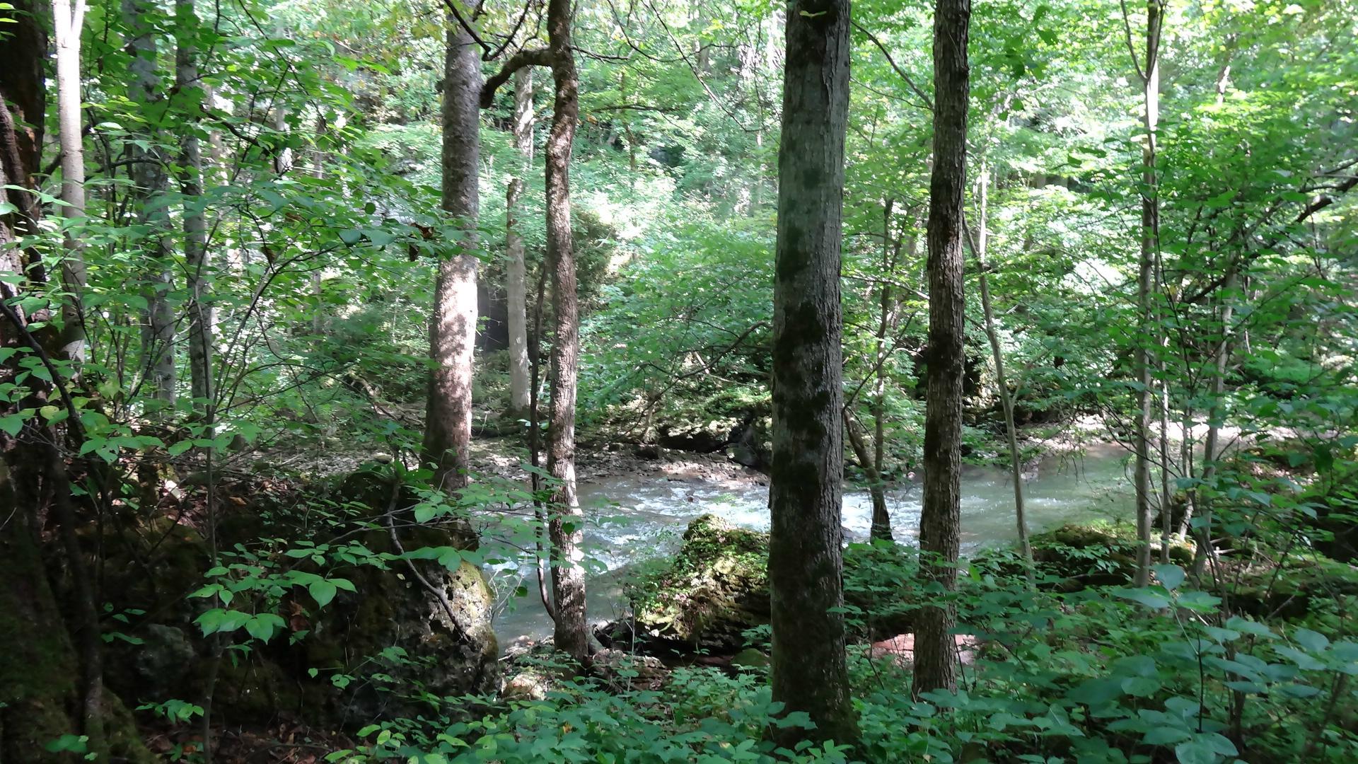 Clifton Gorge State Nature Preserve