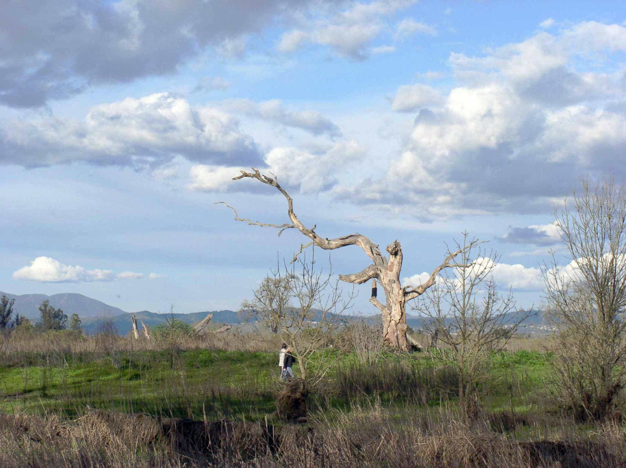 Laguna de Santa Rosa