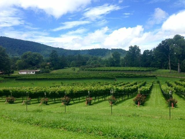 Stonewall Creek Vineyards