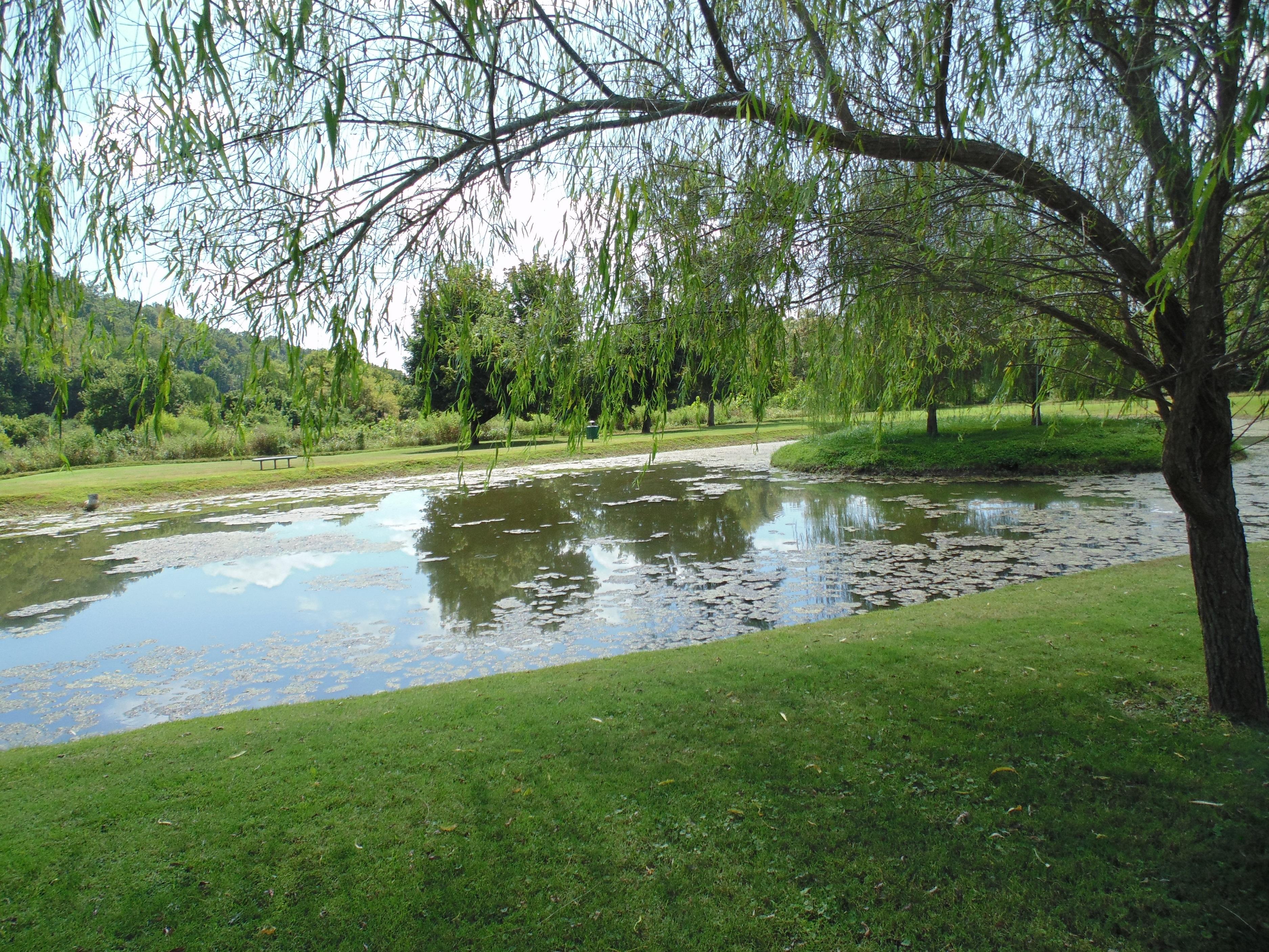 L.L. Burns Park