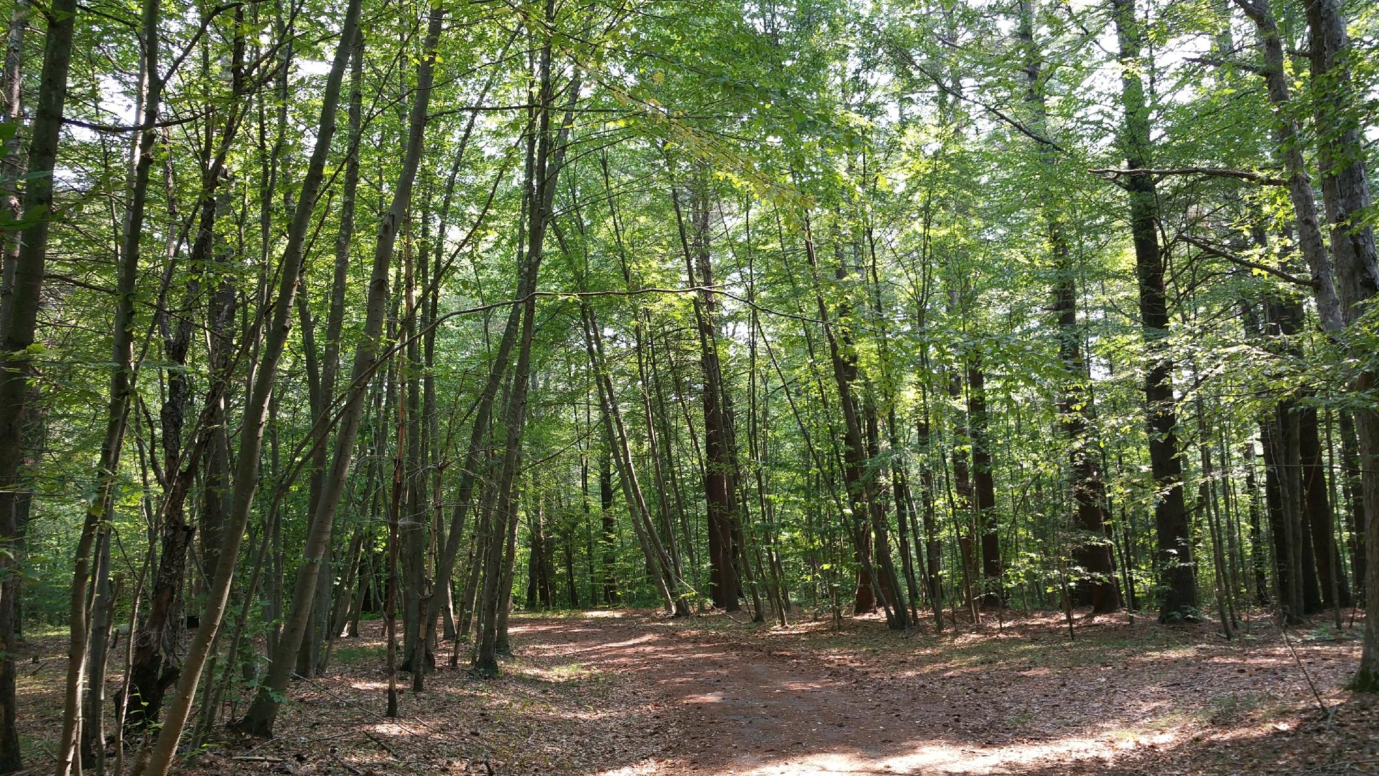 Wompatuck State Park