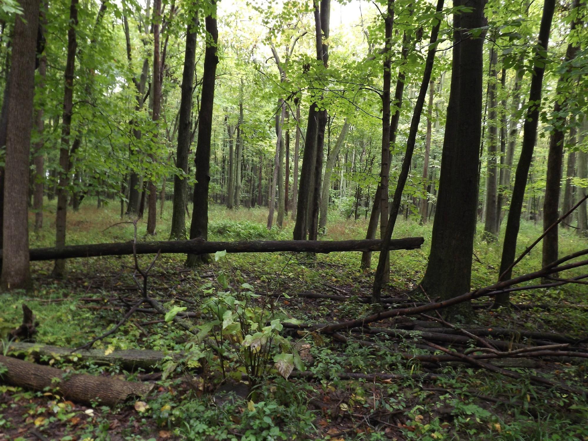 Ottawa National Wildlife Refuge