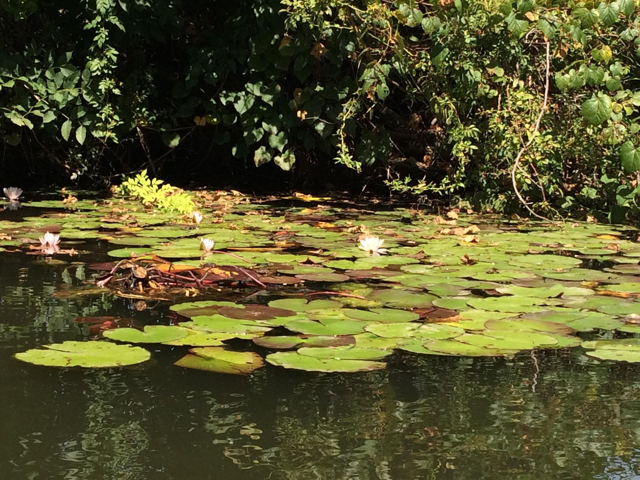 Port Providence Paddle