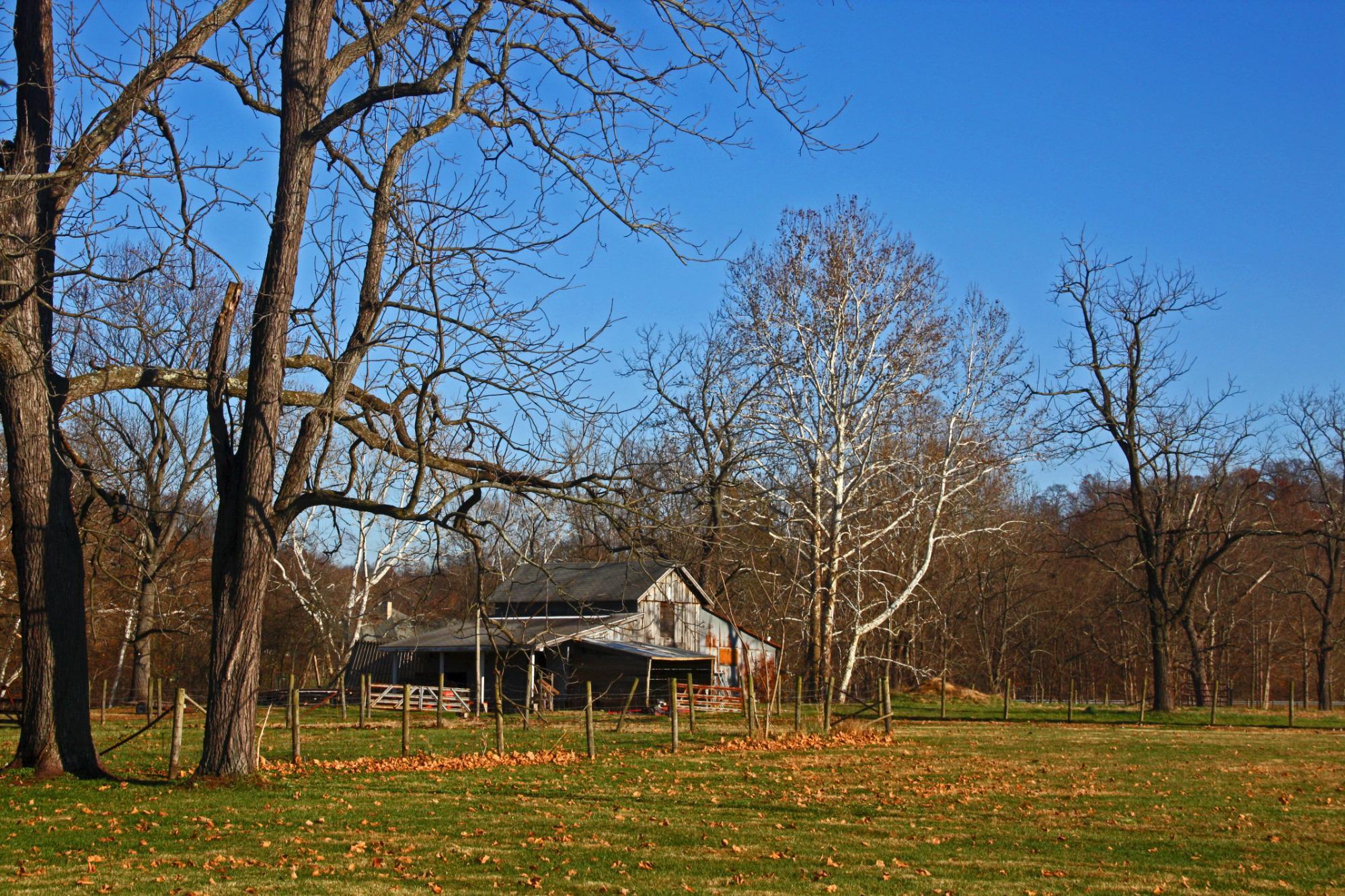 Henderson Hall Plantation