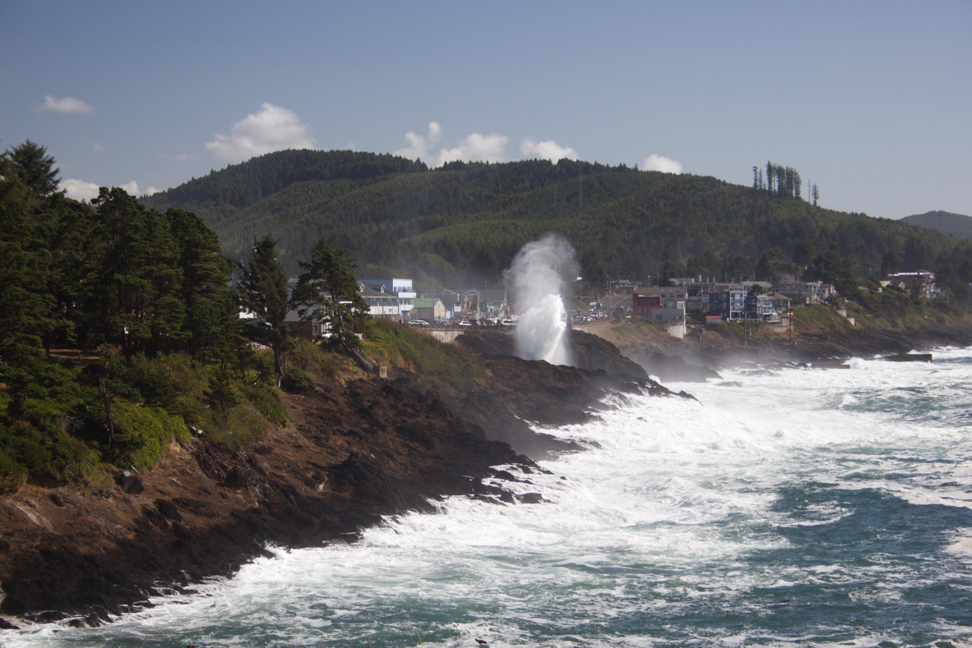 The Whale Watching Center