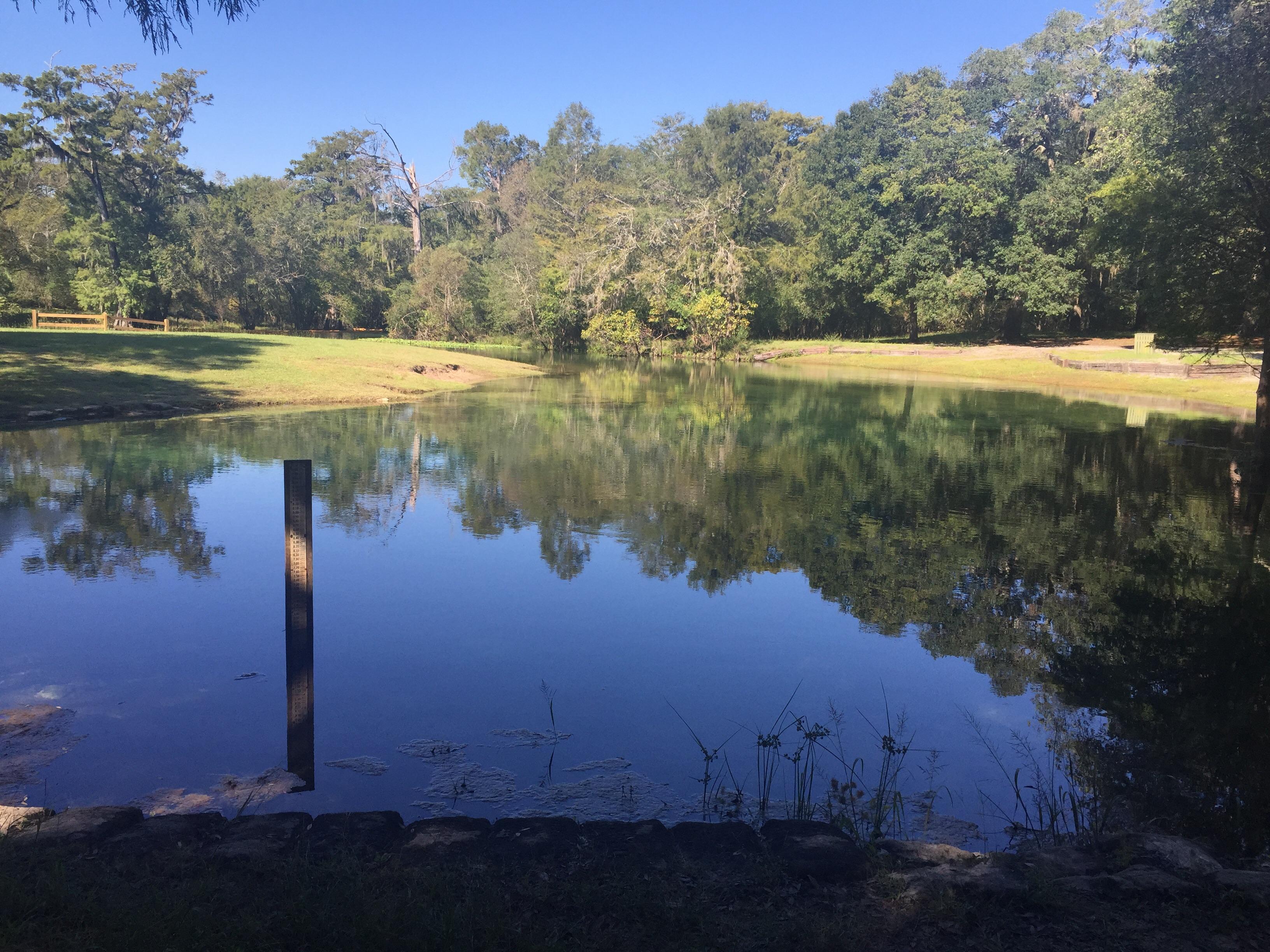 Otter Springs Park & Campground