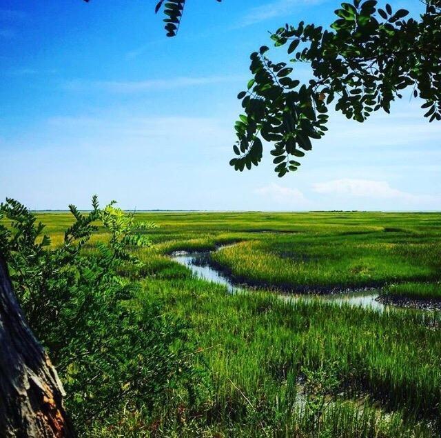 Eastern Shore of Virginia National Wildlife Refuge