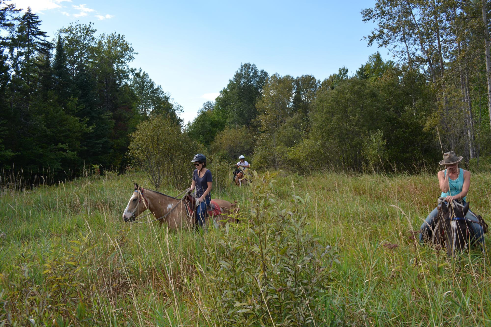 D-N-D Stables Guided Trail Rides