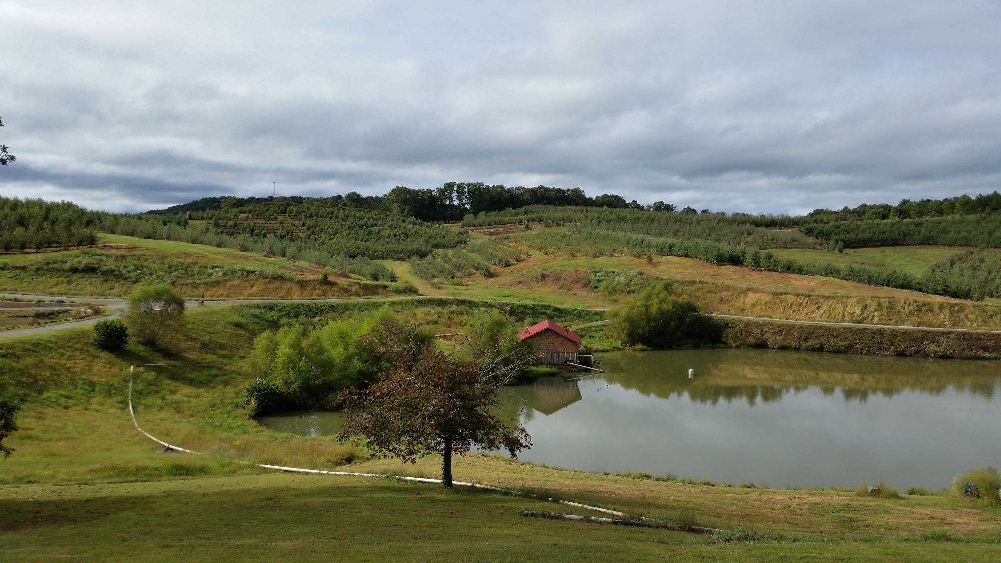 Mercier Orchards