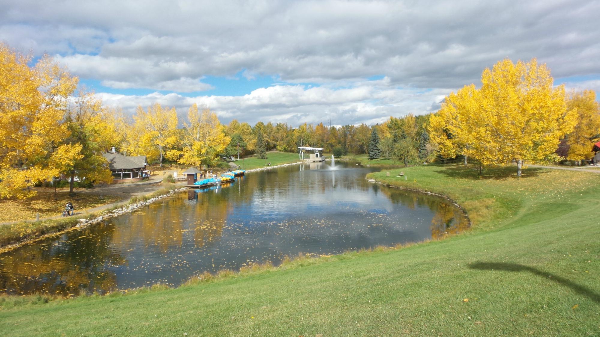 Bower Ponds