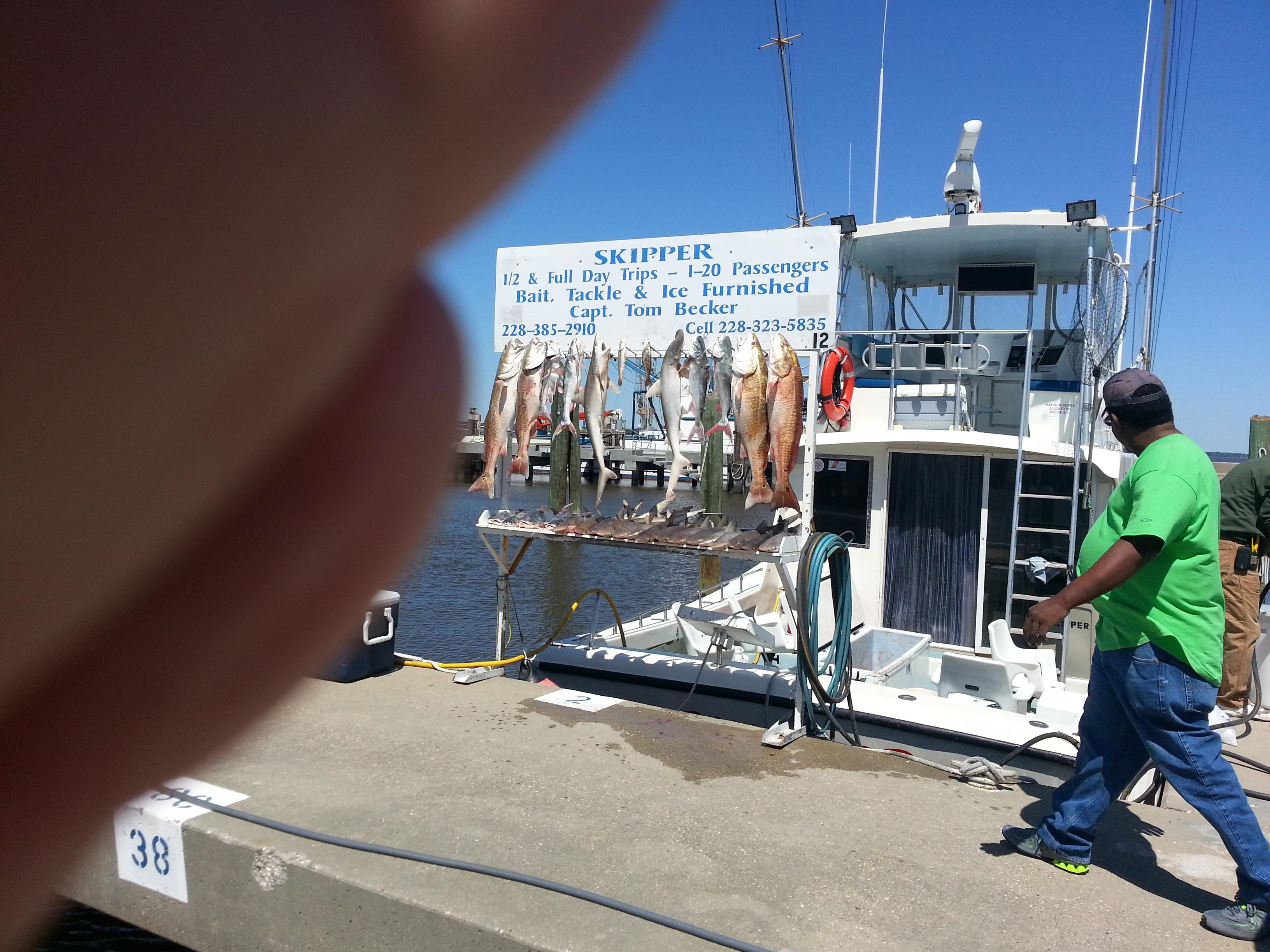 Skipper Charters