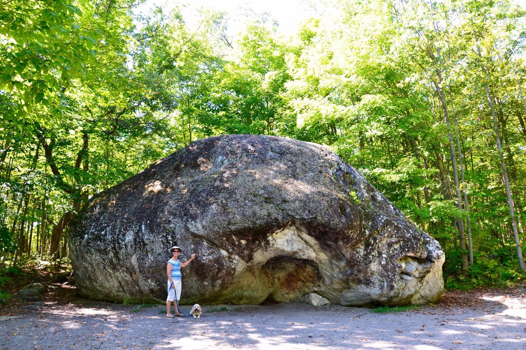 Bleasdell Boulder Conservation Area