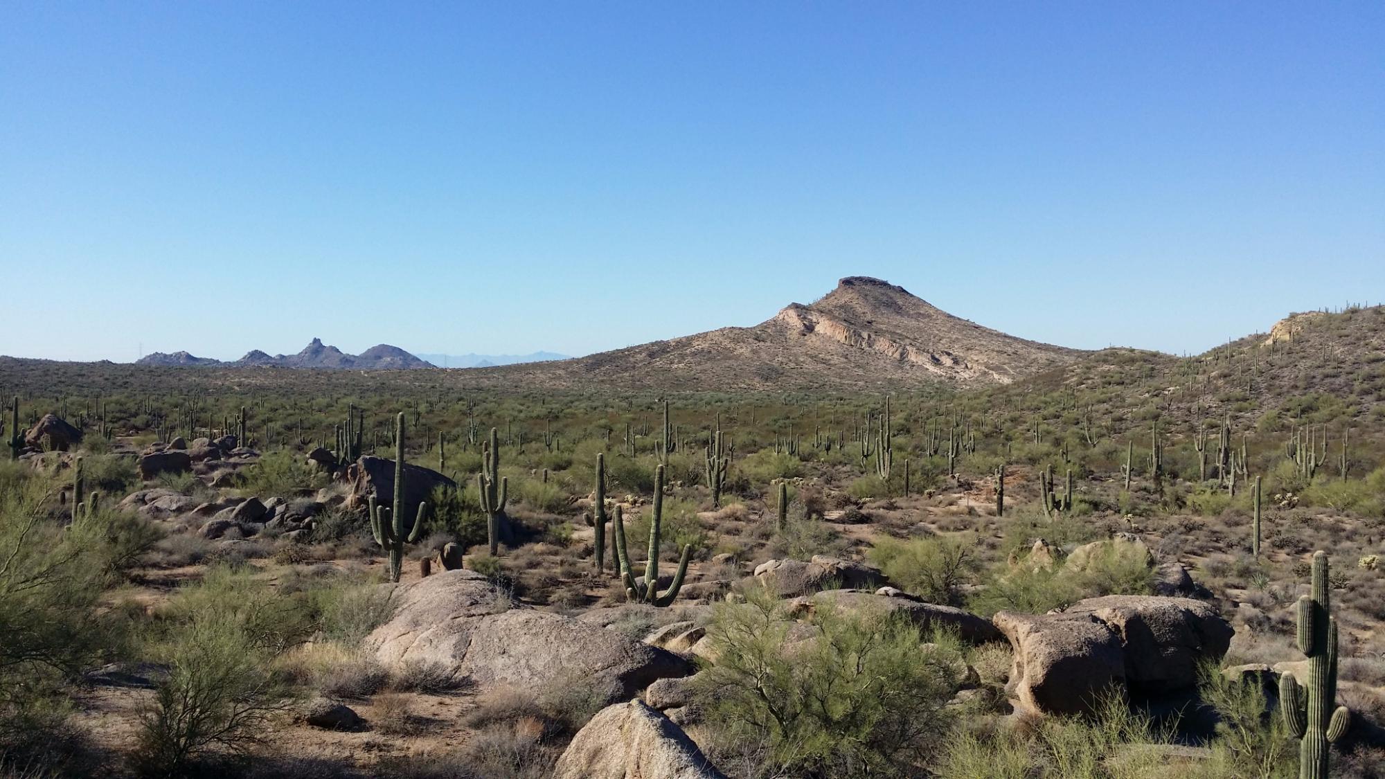 Brown's Ranch Trailhead