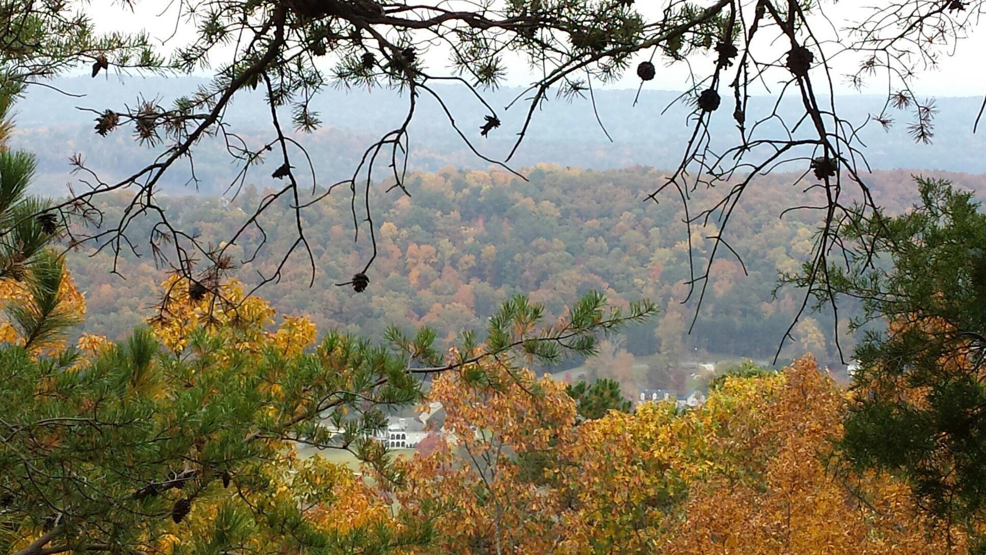 Palisades Park