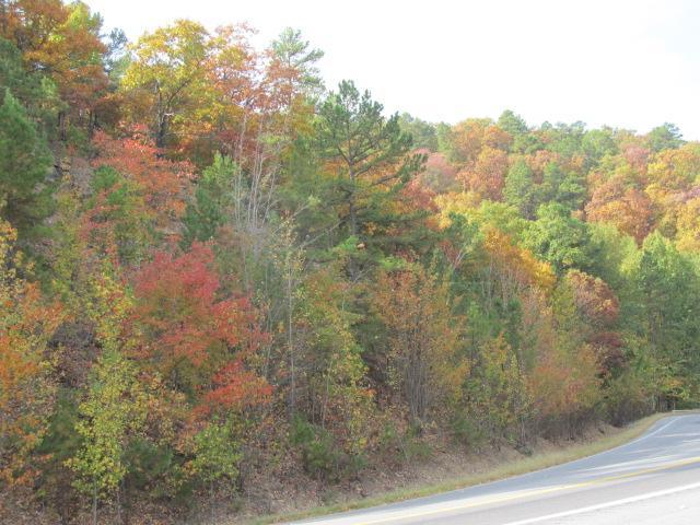 Talimena State Park