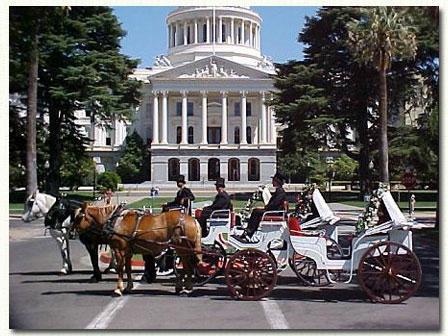 Top Hand Ranch Carriage Company