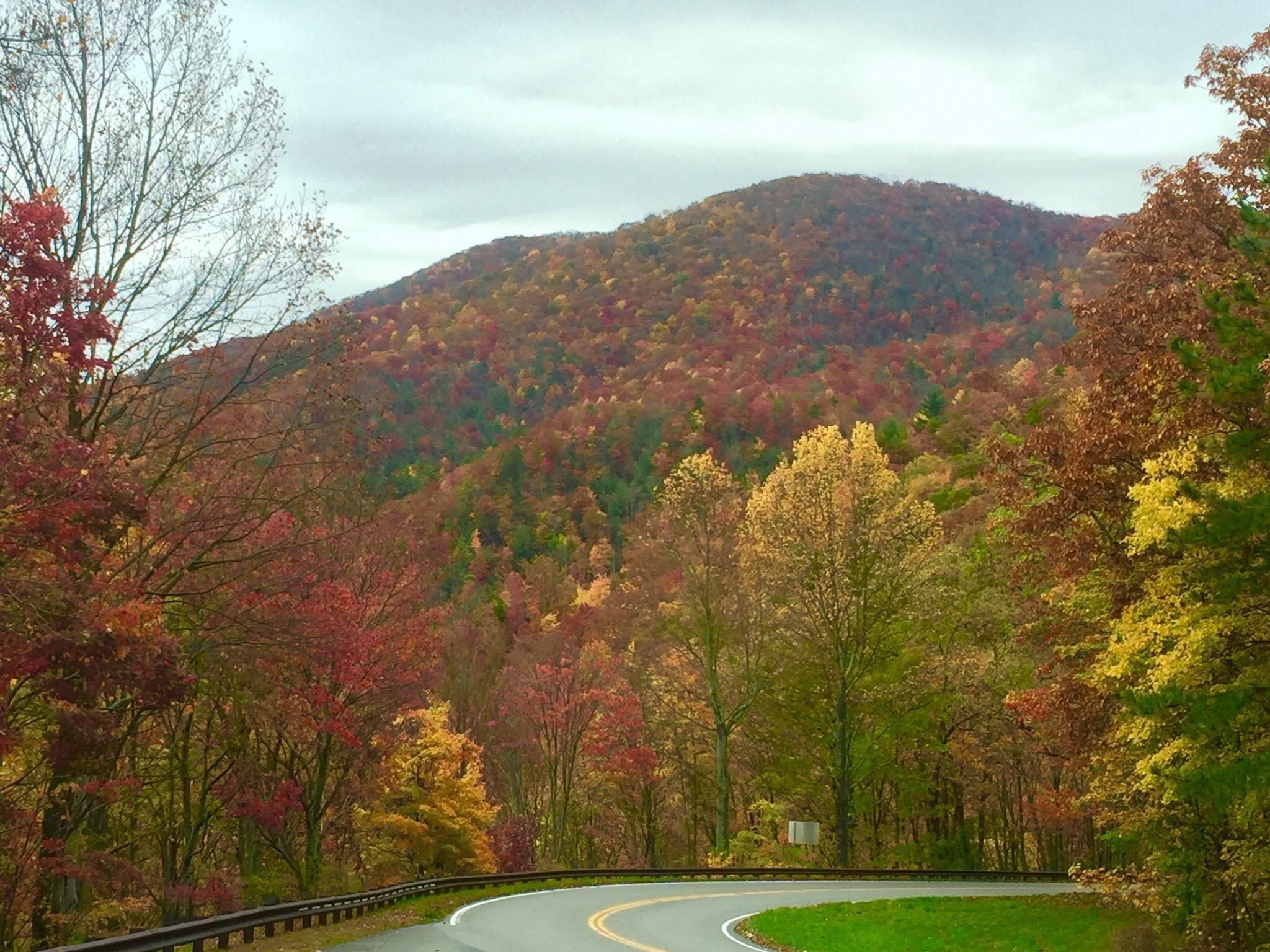 Cherohala Skyway Visitor Center