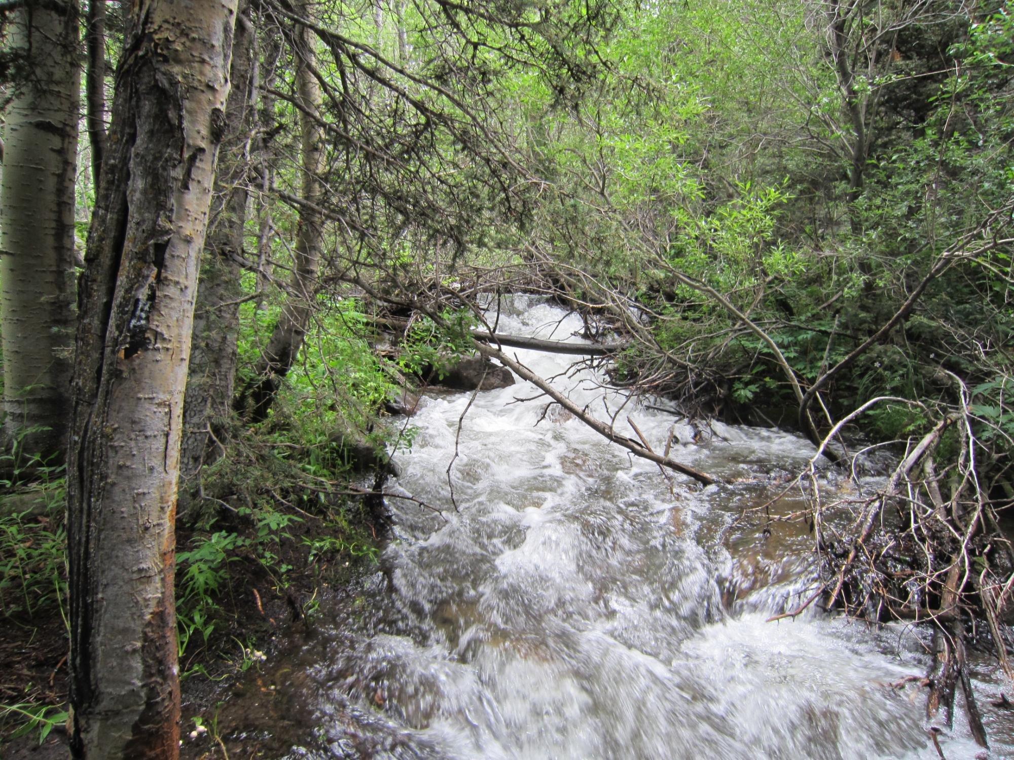 Sangre De Cristo Wilderness