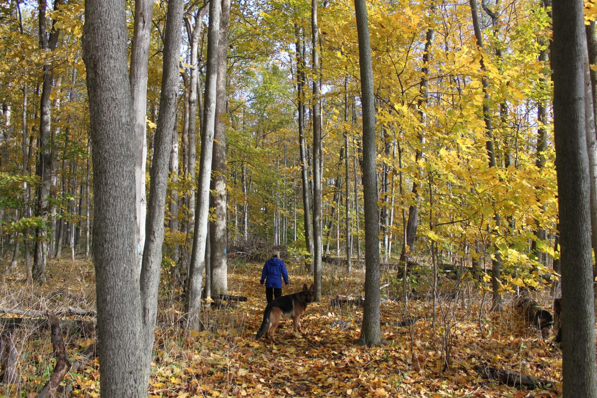 Lake Whittaker Conservation Area