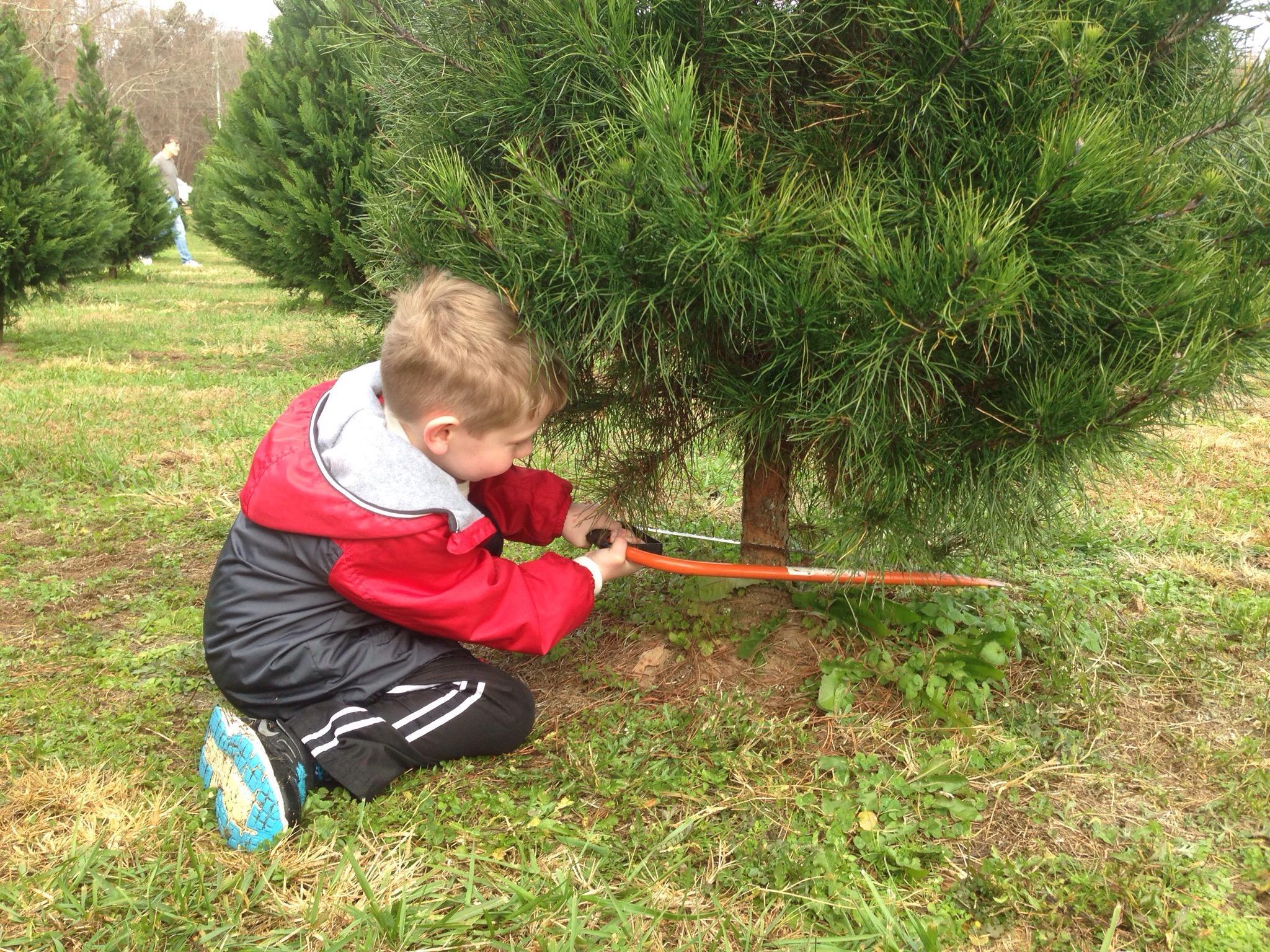 Bottoms Christmas Tree Farm