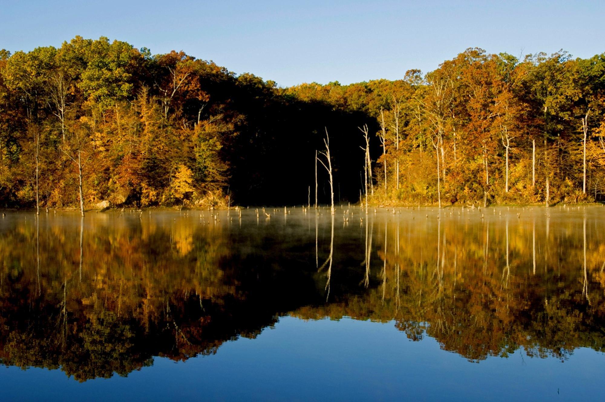 Village Creek State Park