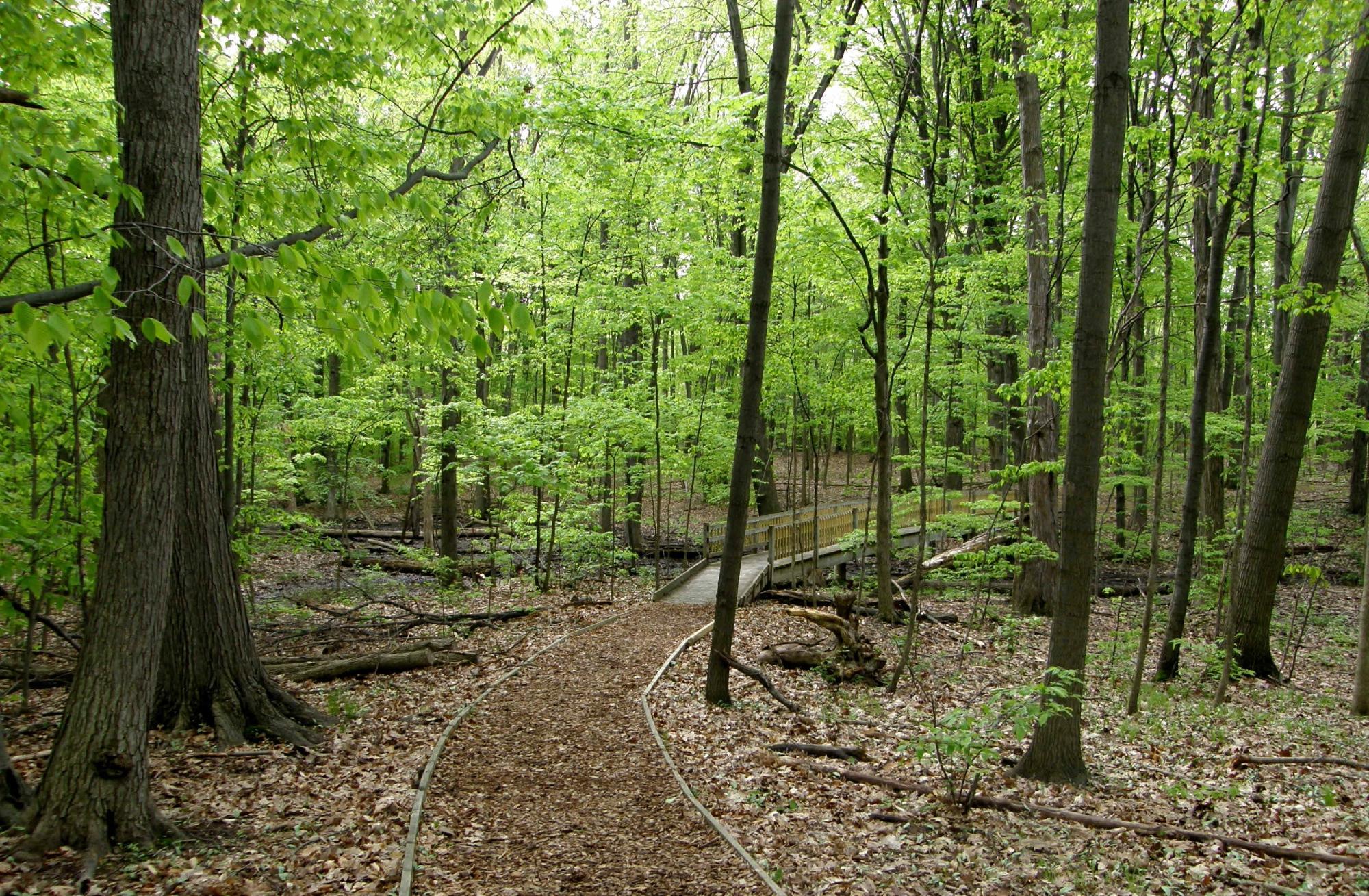 Calvin Ecosystem Preserve & Native Gardens