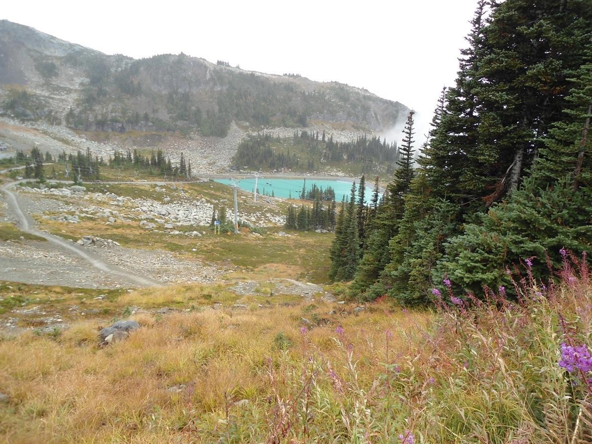 Whistler Activity and Information Center