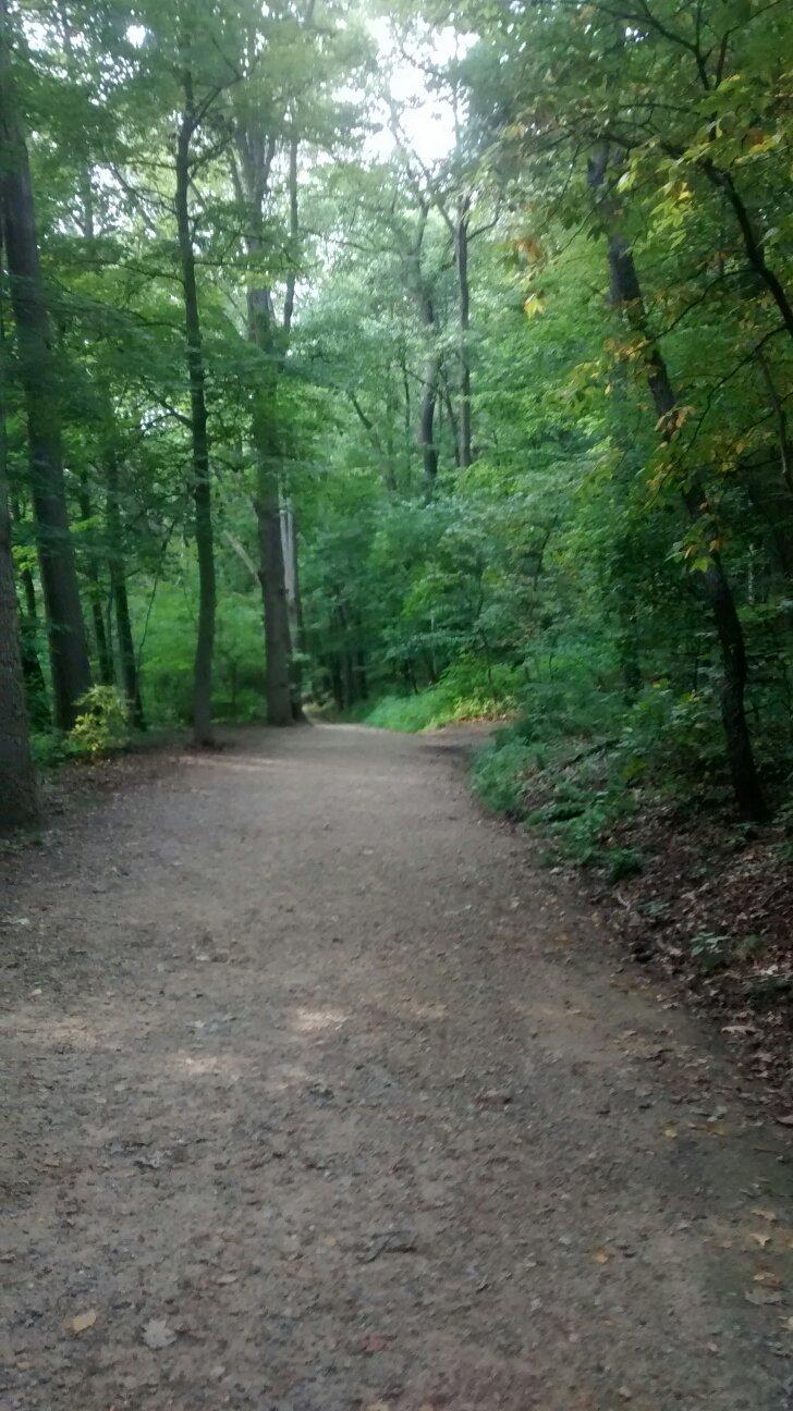 Gorge Metro Park