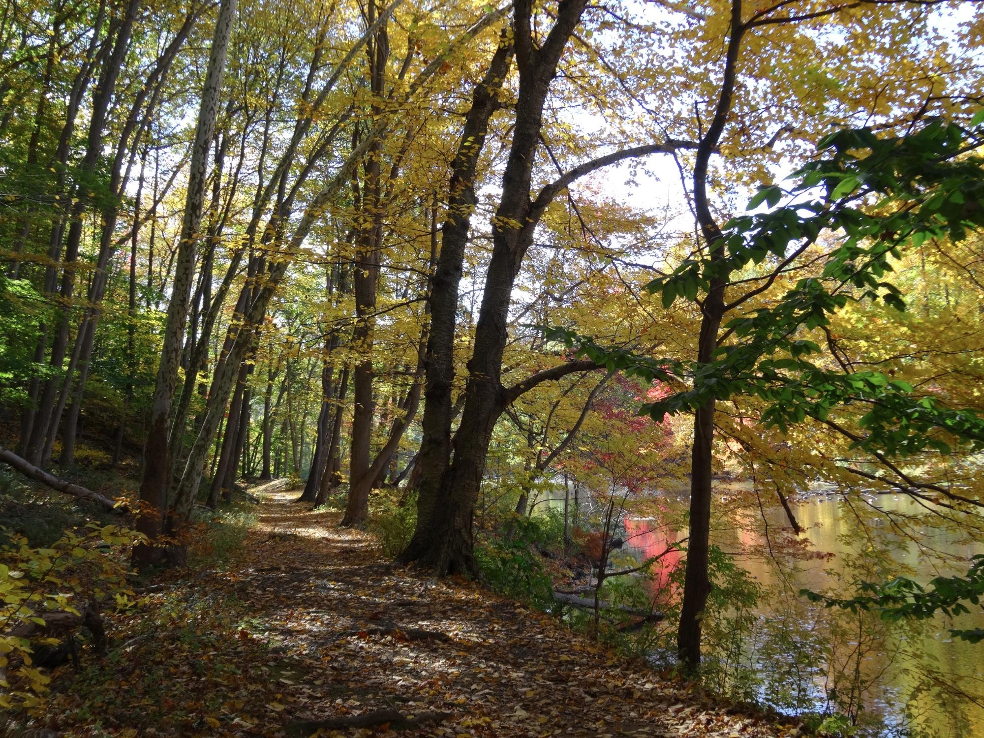 Black River County Park