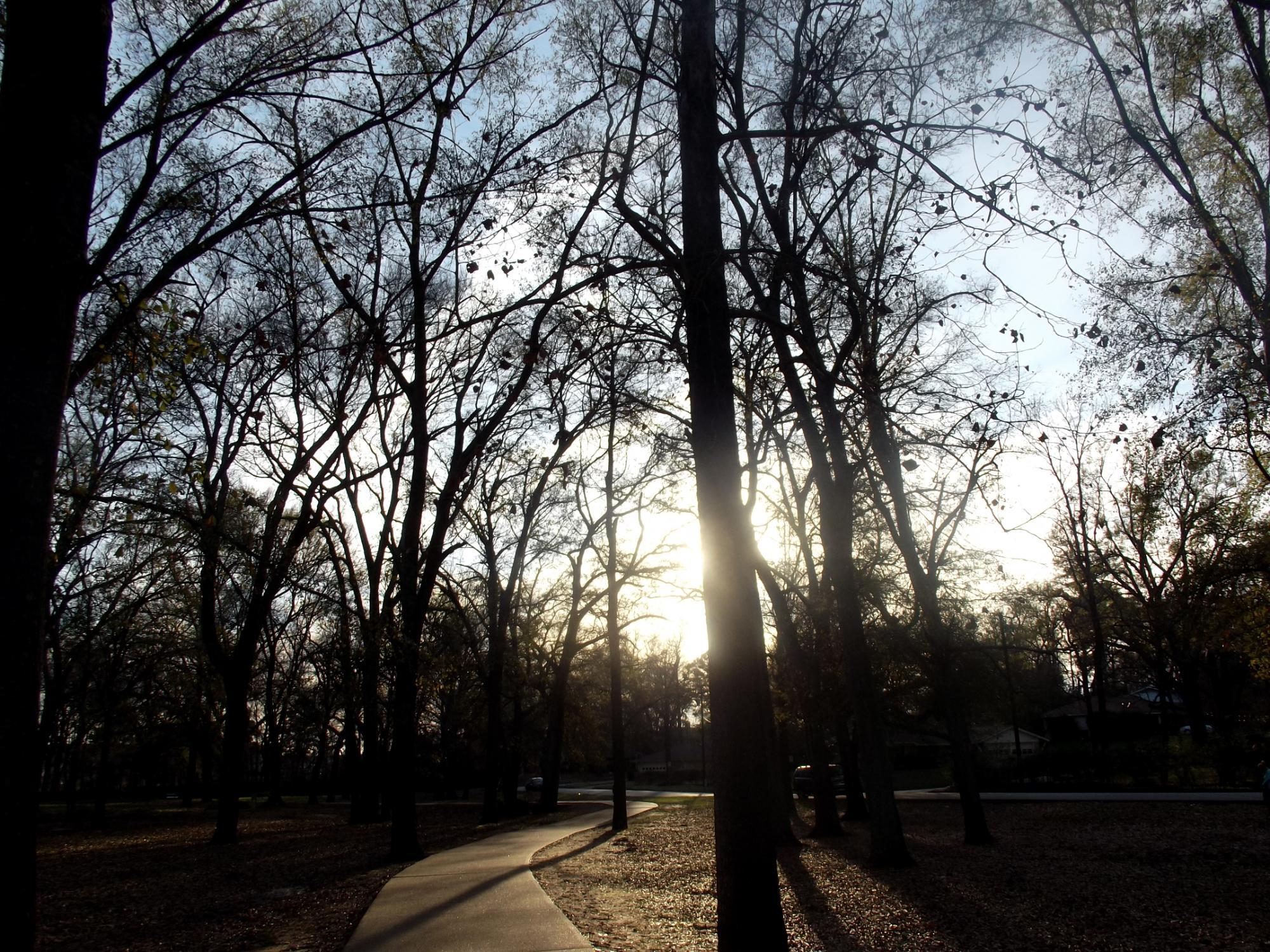 Rose Rudman Recreational Trail