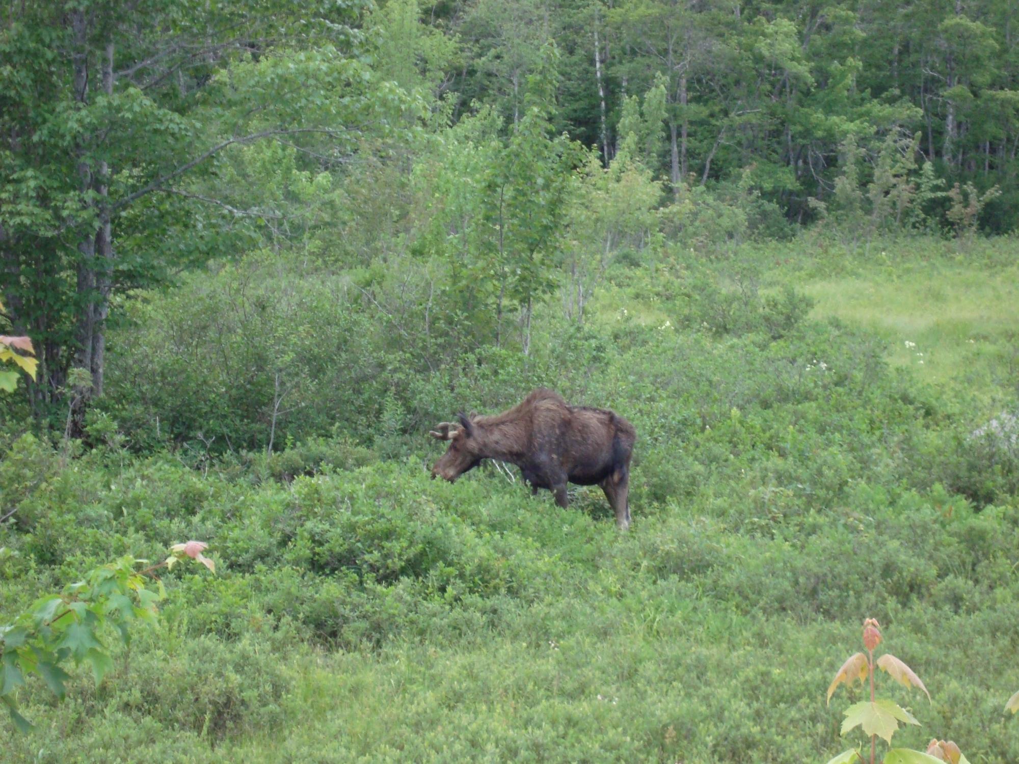 Lake Umbagog National Wildlife Refuge