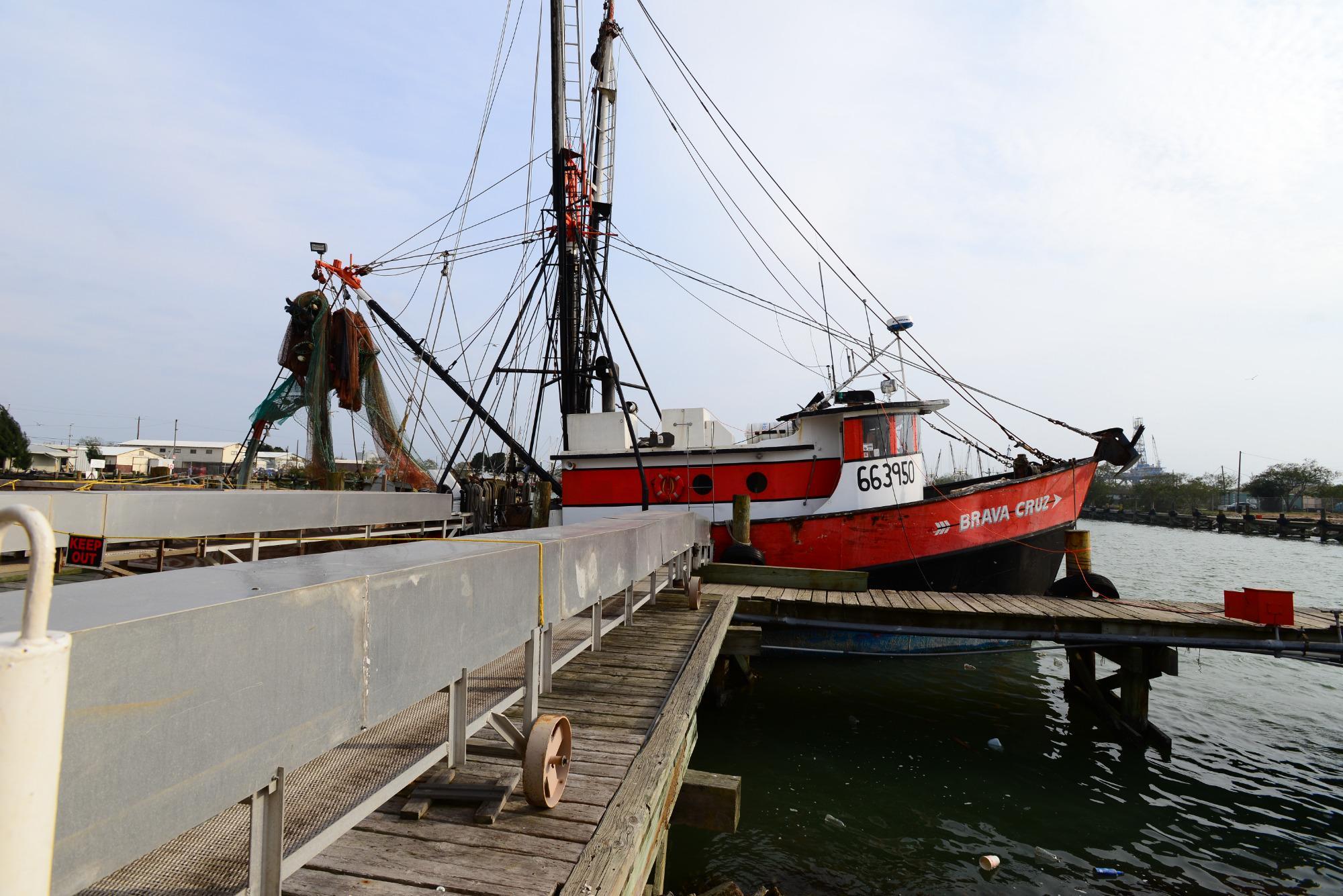 Texas Gulf Trawling Shimp Boil & Tour