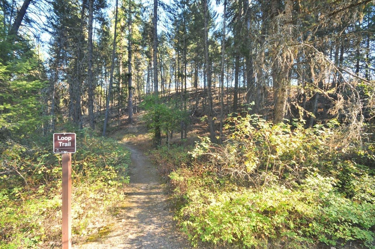 Johnstone Creek Provincial Park