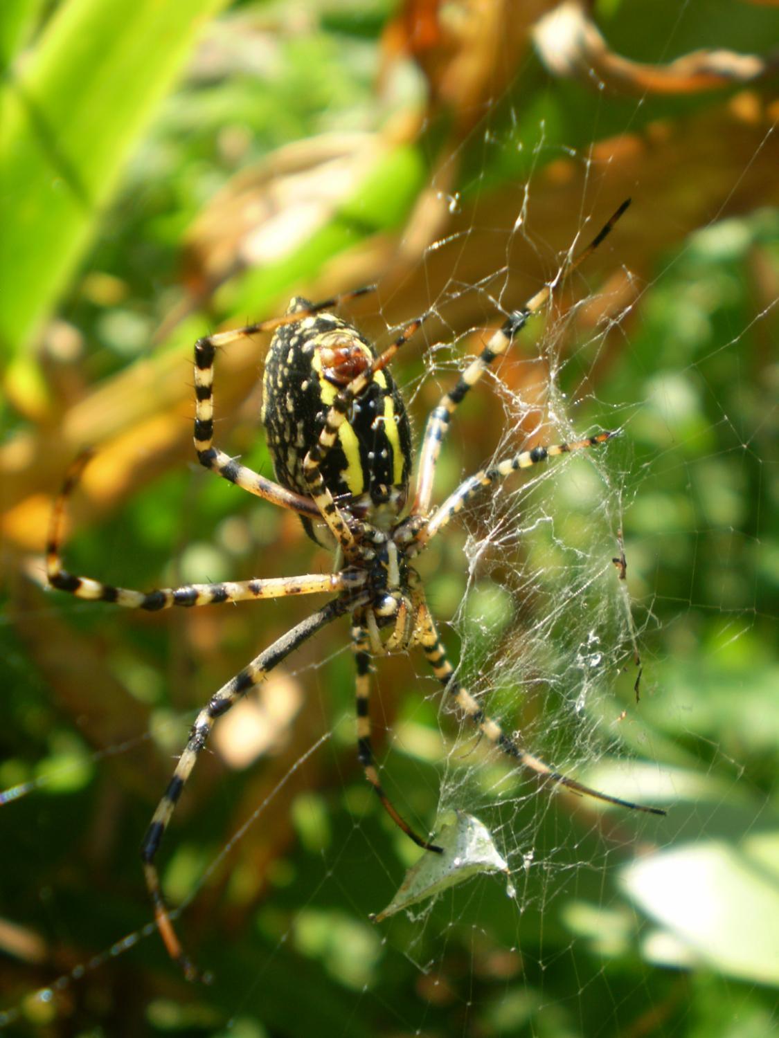 Stratford Ecological Center