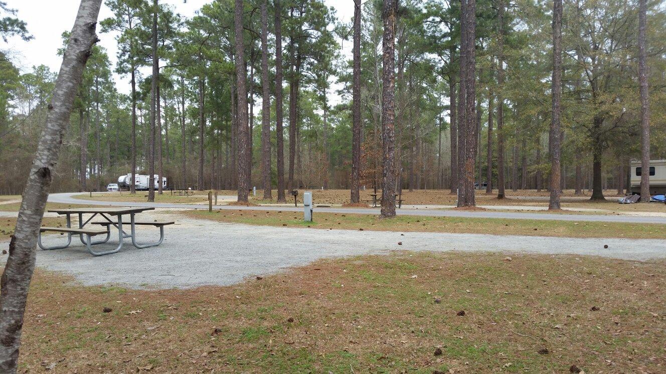 Georgia Veterans State Park