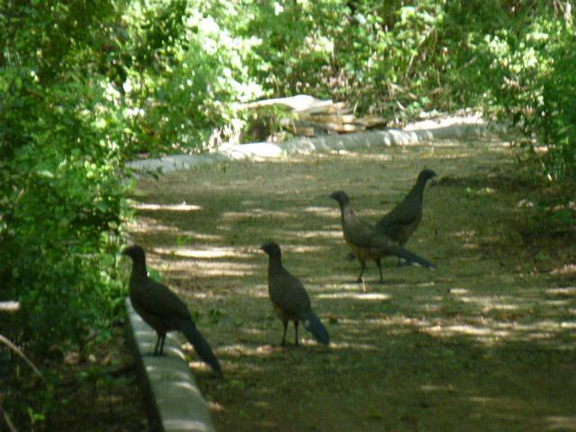 Valley Nature Center