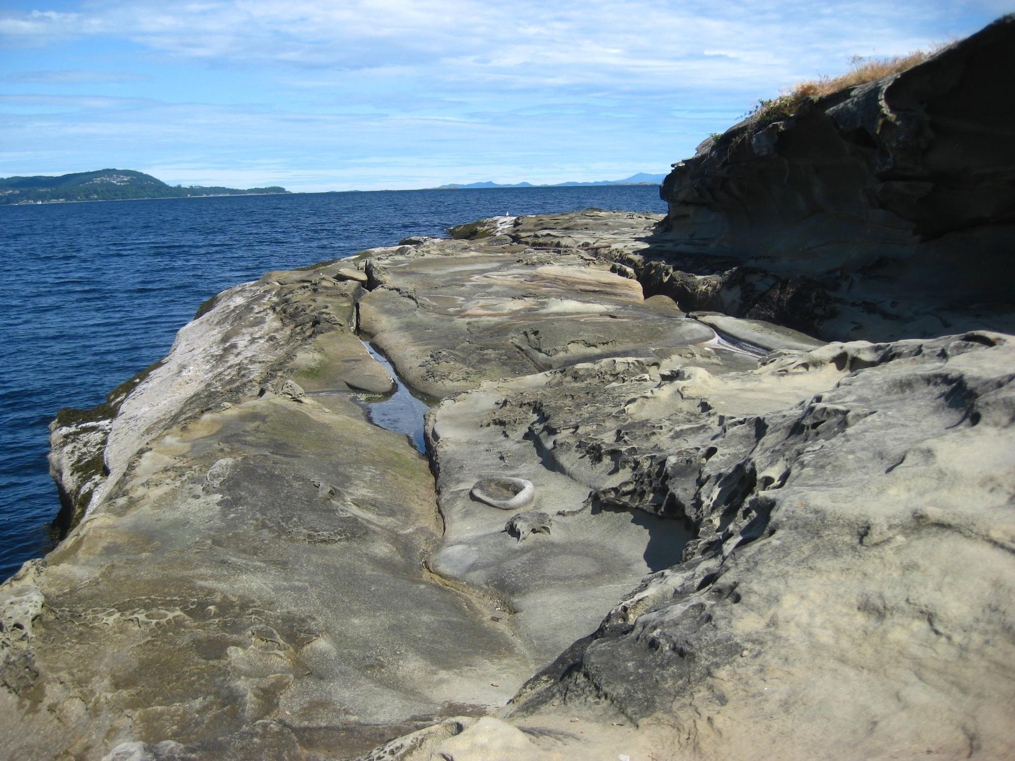 Malaspina Galleries