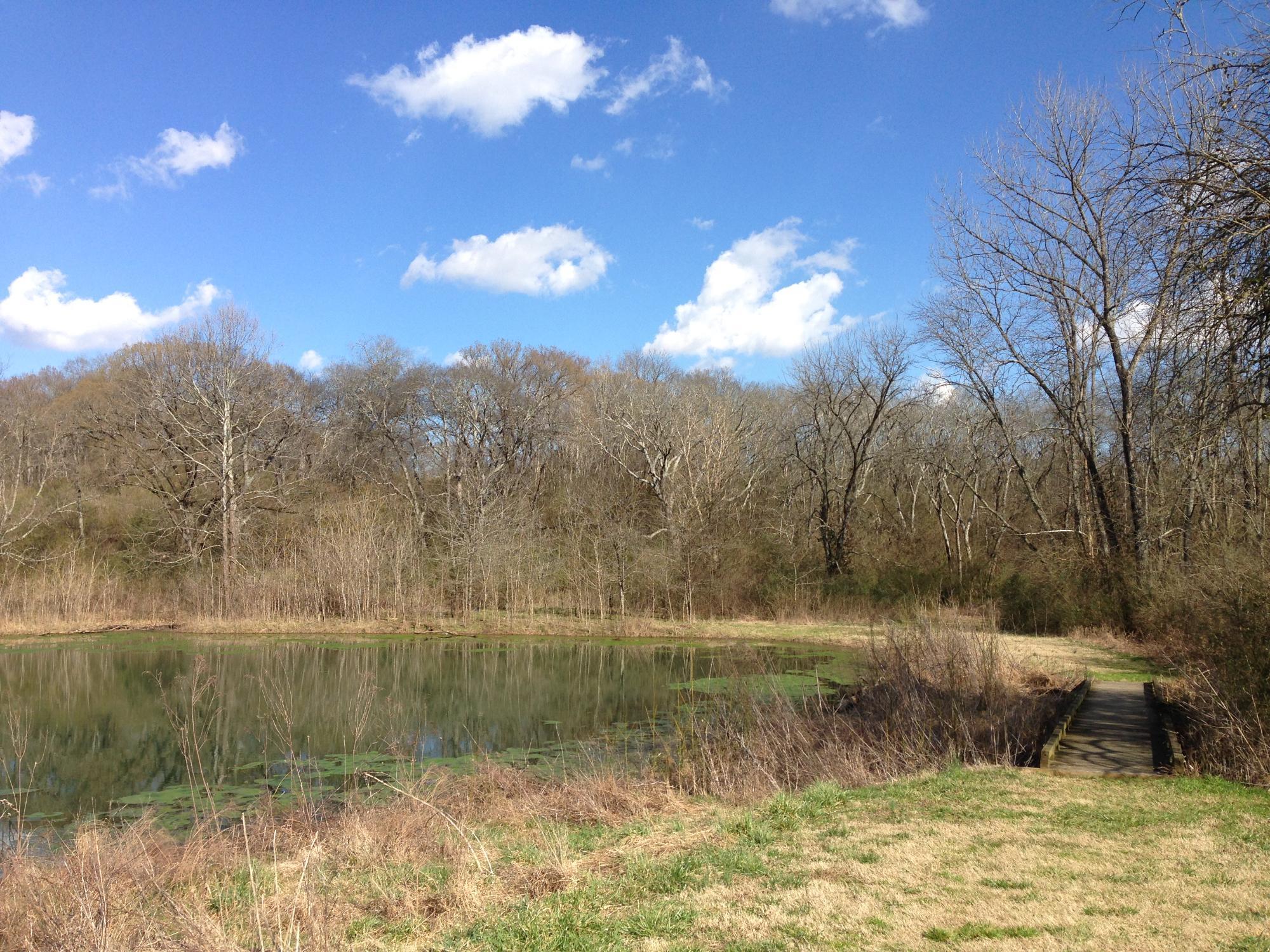 Bells Bend Park