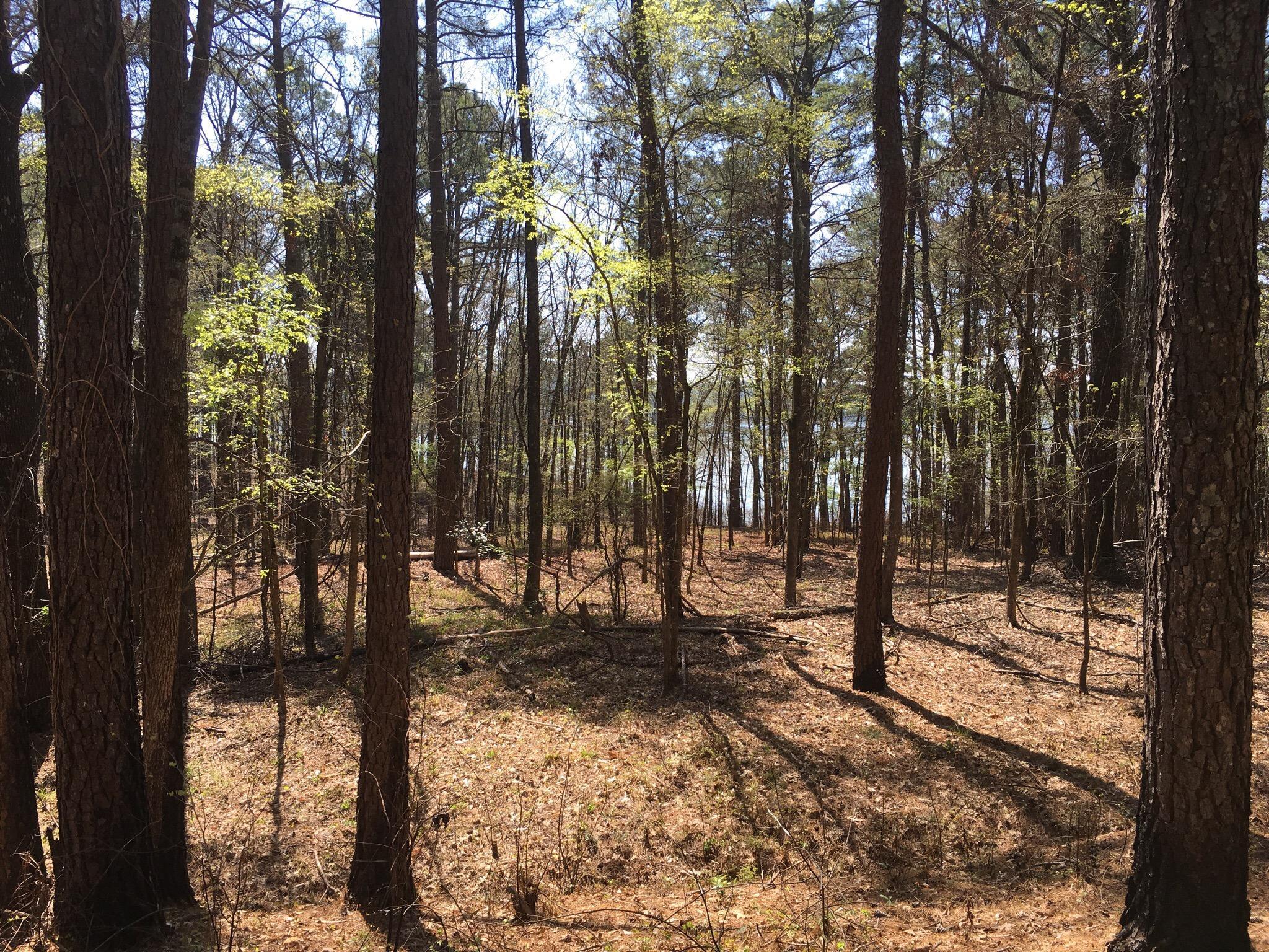 DeGray Lake Resort State Park