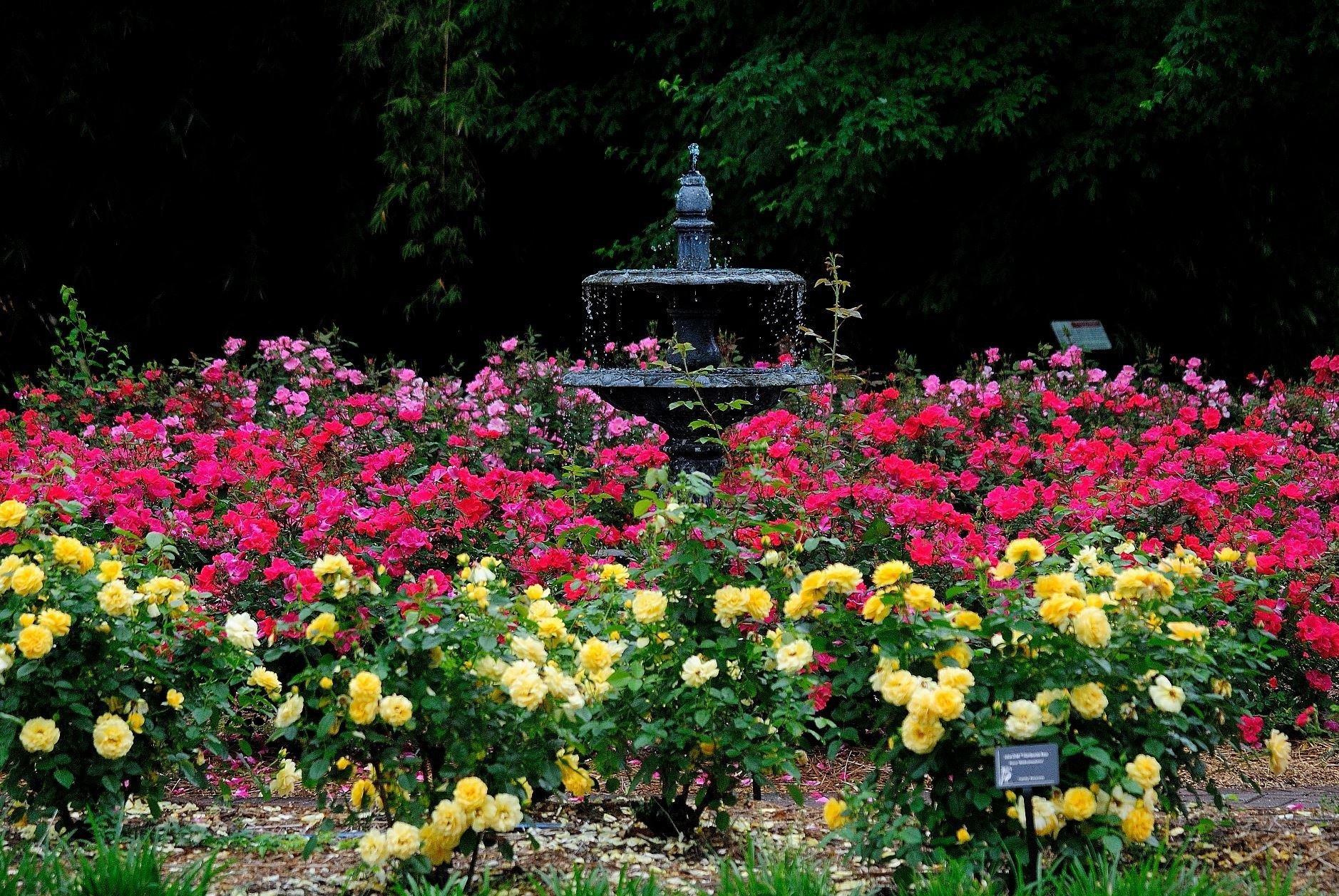 Coastal Georgia Botanical Gardens