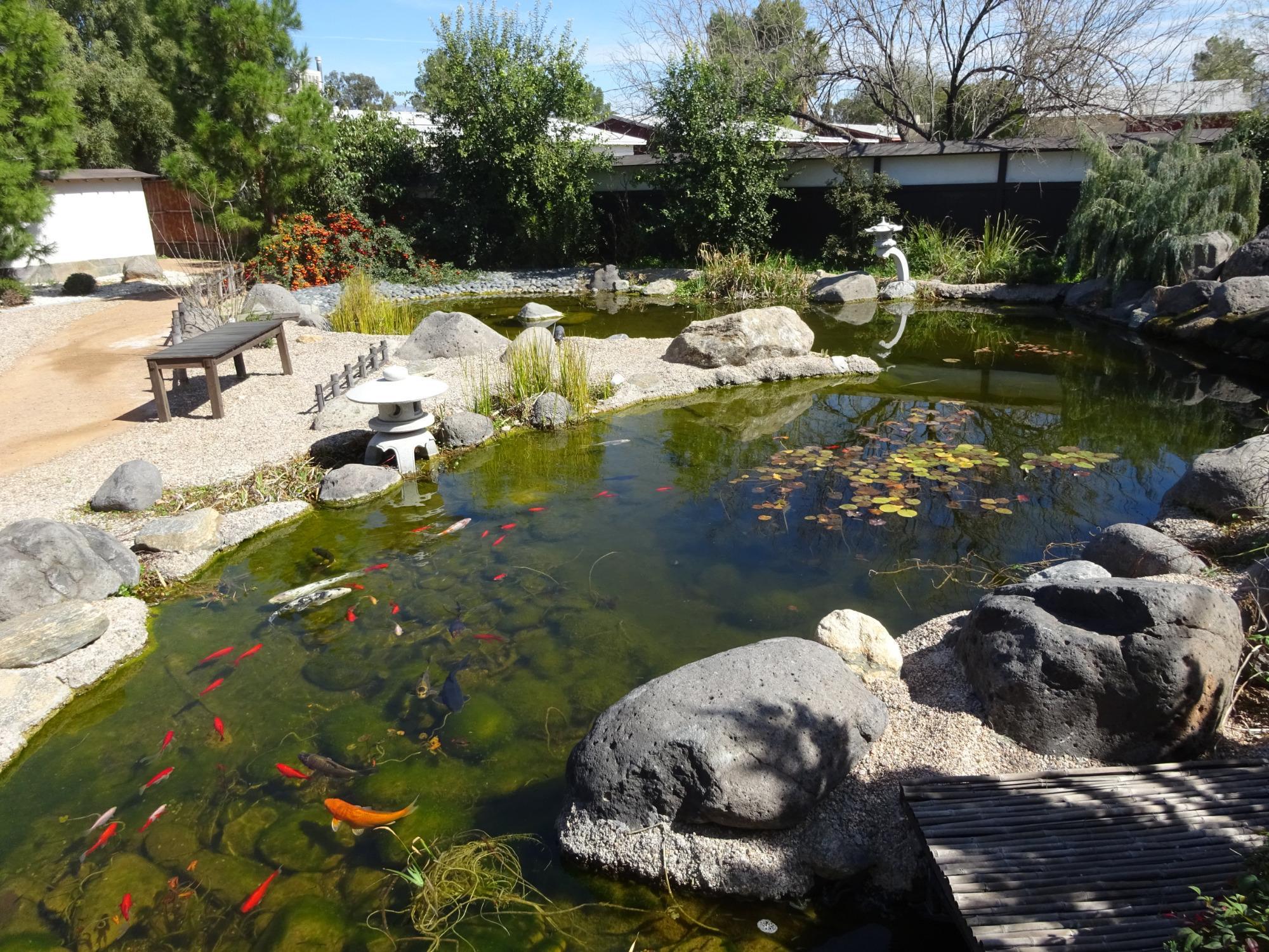 Yume Japanese Gardens of Tucson