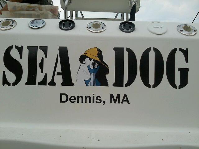 Sea Dog Fishing Team and Charters