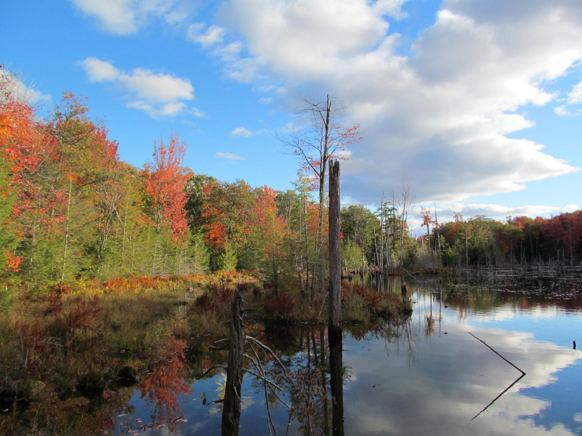 Corinth Reservoir Recreation Area