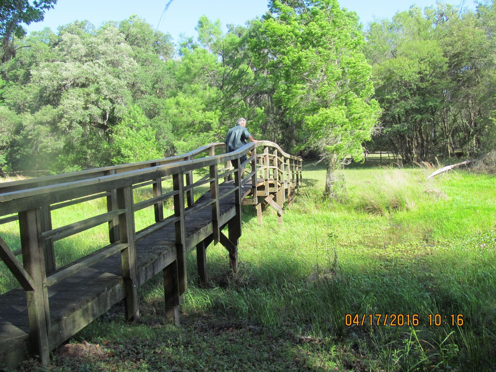 McKethan Lake Nature Trail