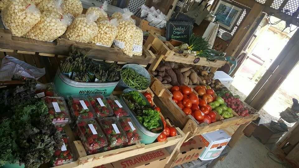 Salty Air Open Market