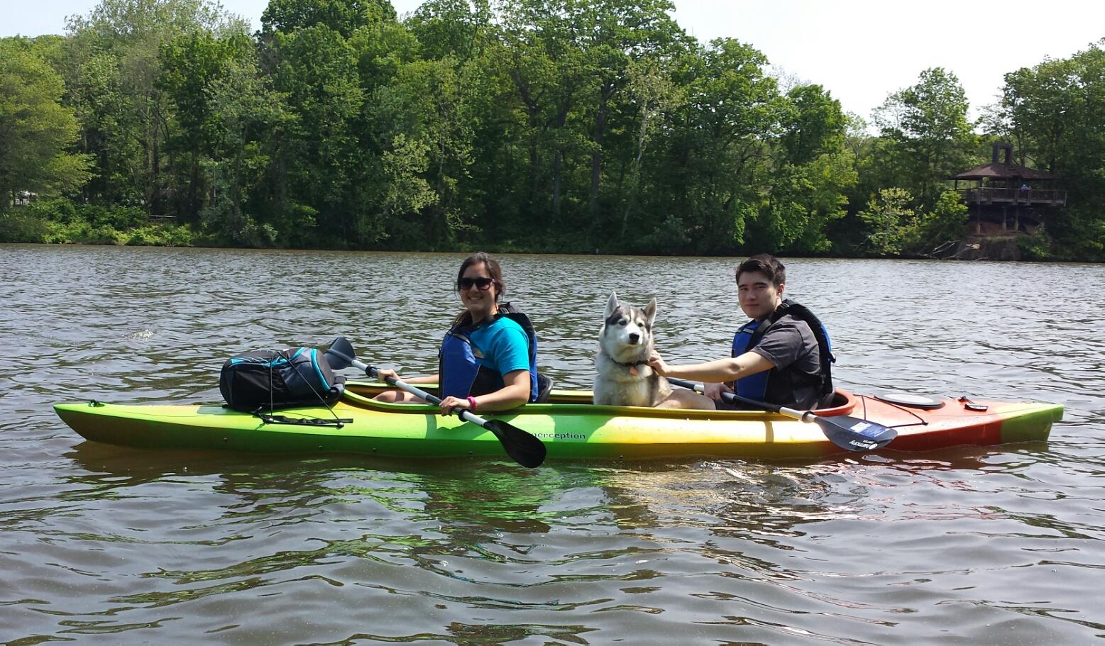 Penguin Paddling