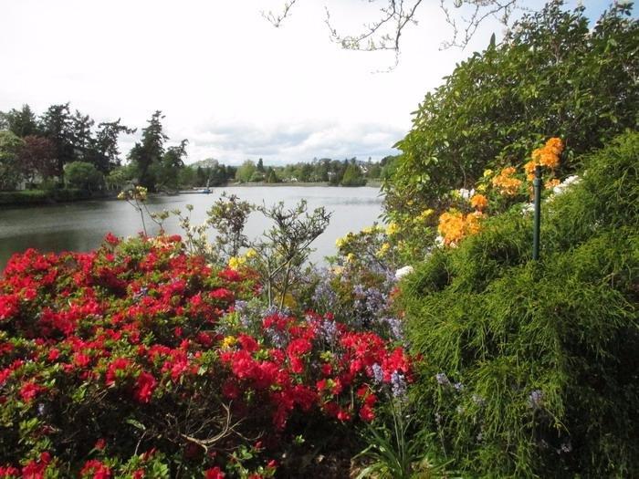 Esquimalt Gorge Park