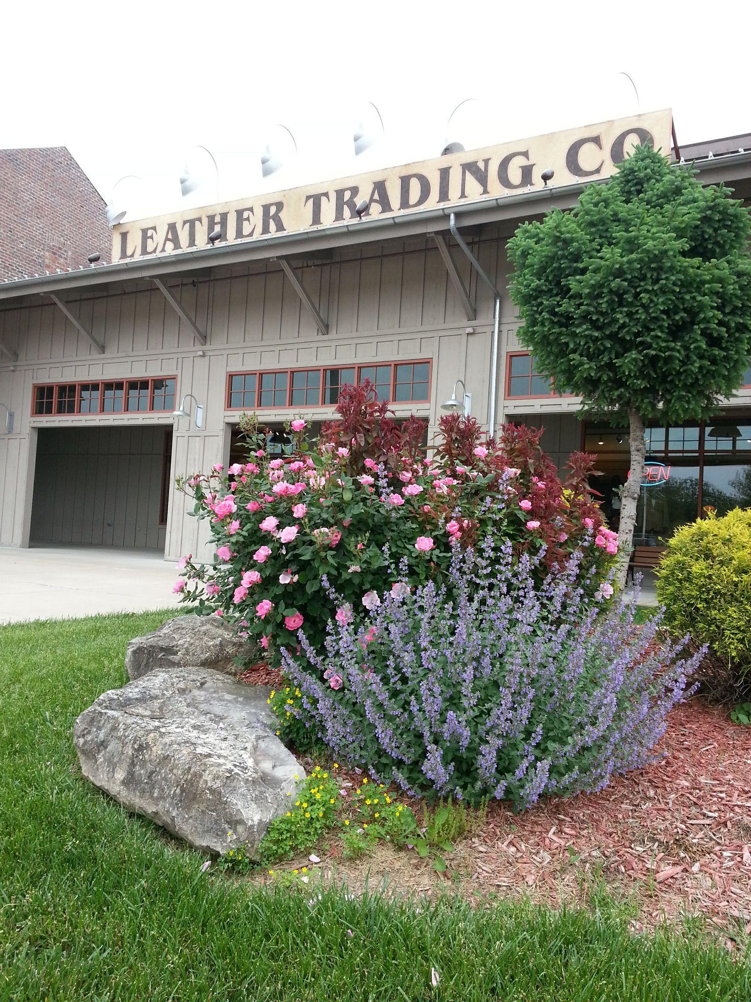 Leather Trading Co